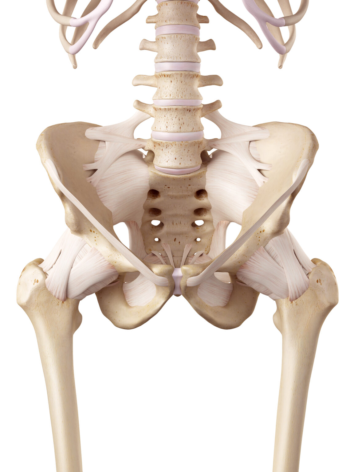 Quanto dura uma prótese no quadril Artroplastias